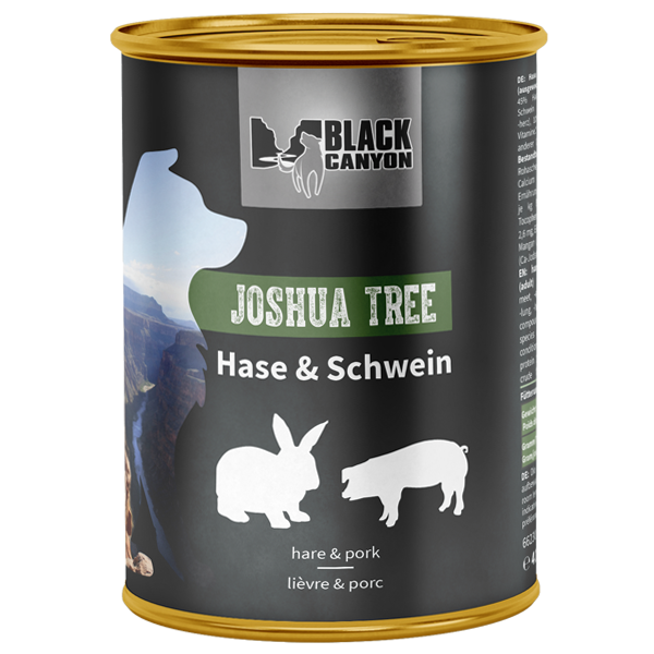 BLACK CANYON Joshua Tree