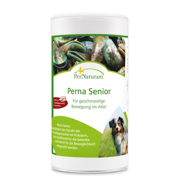 Perna Senior